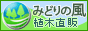 �ߤɤ����